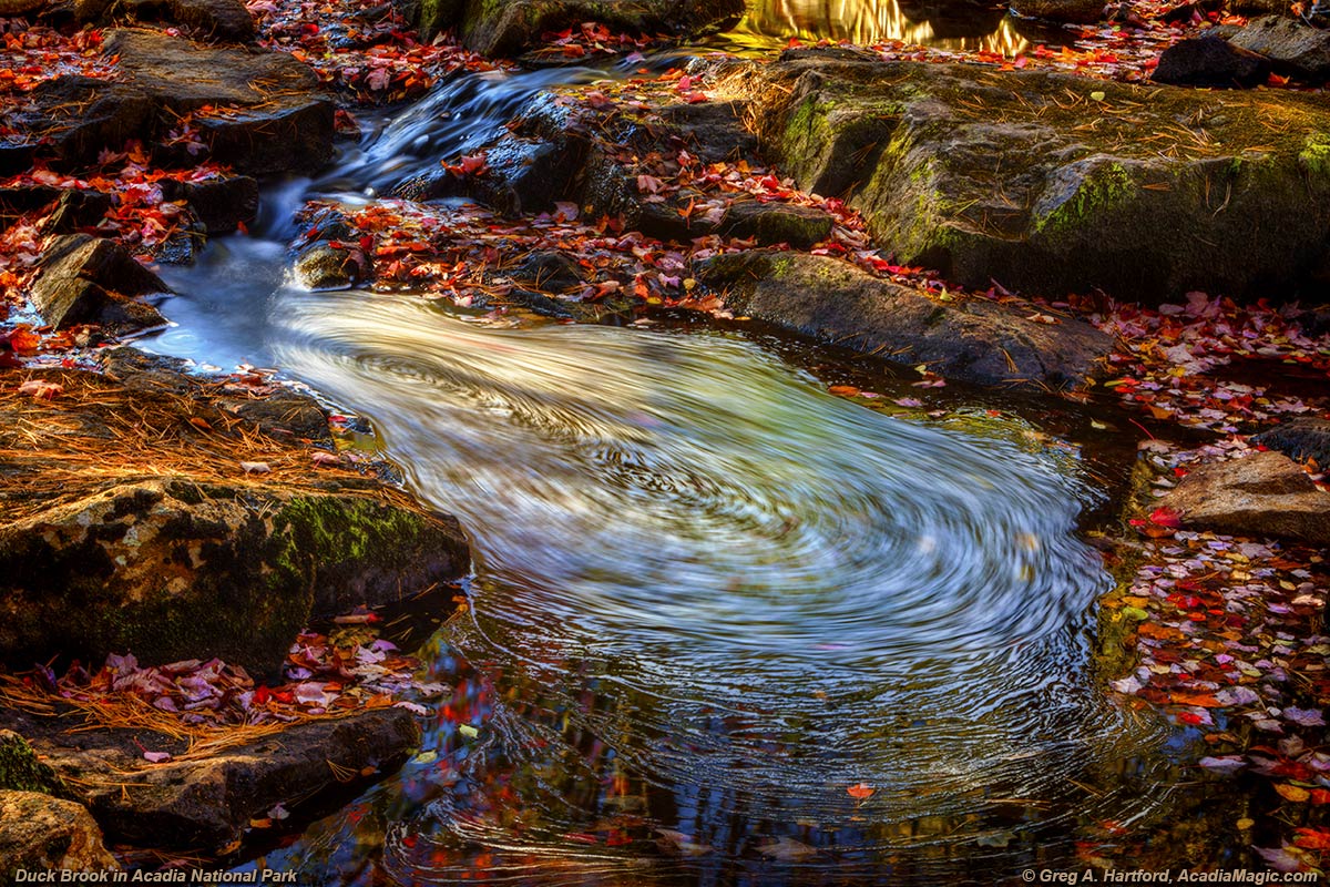 Water swirl at Duck Brook in Acadia National Park