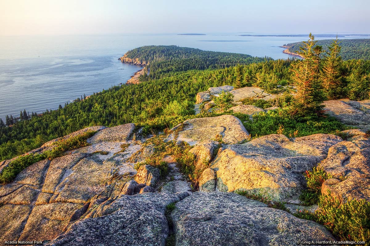 Otter Cliff can be seen in the distance from Gorham Mountain Trail in Acadia