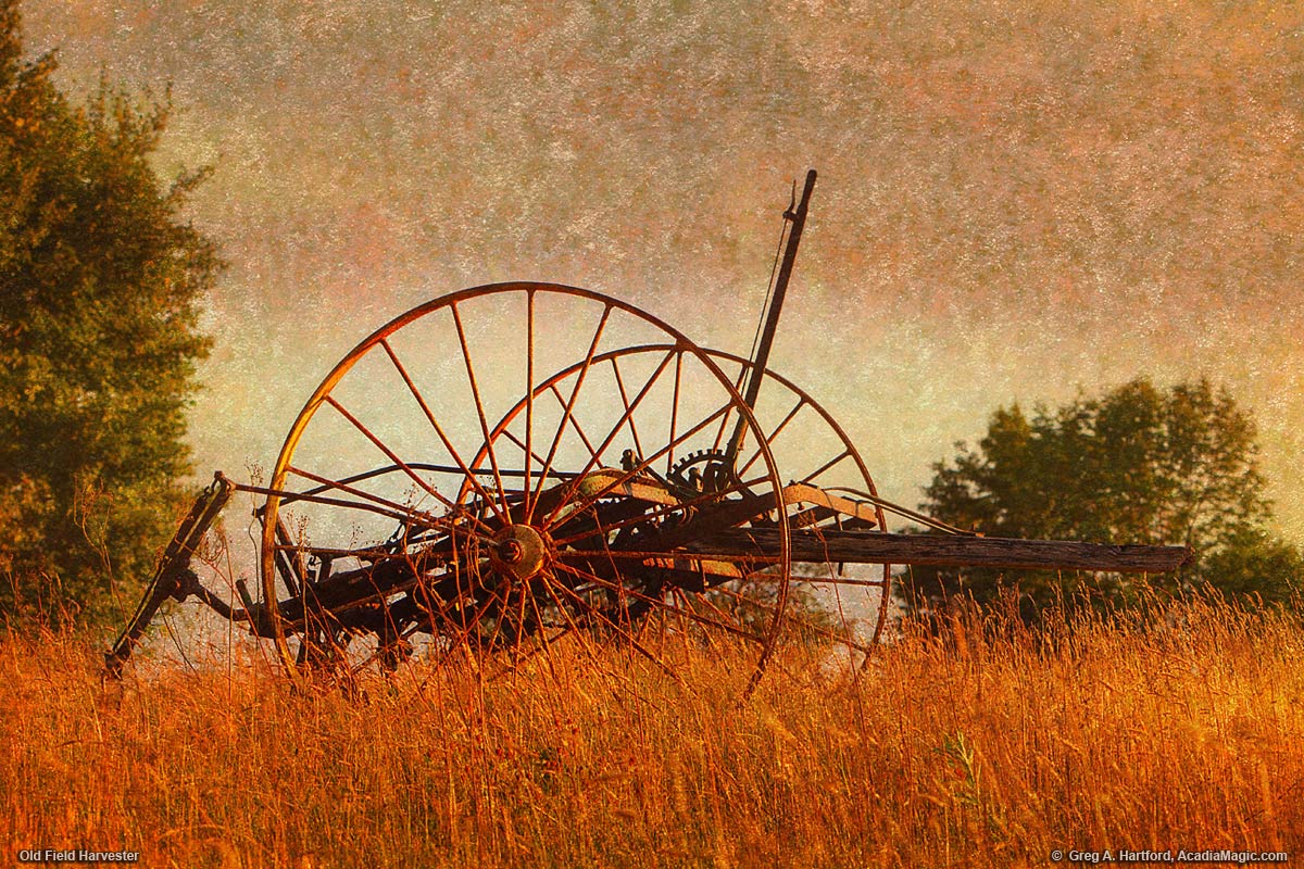 Old Hay Harvester