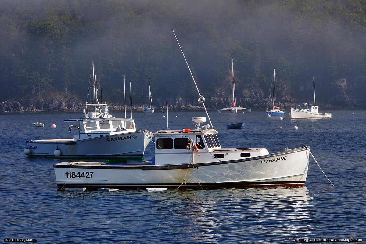 Lobster Boats at sunrise in Bar Harbor, Maine