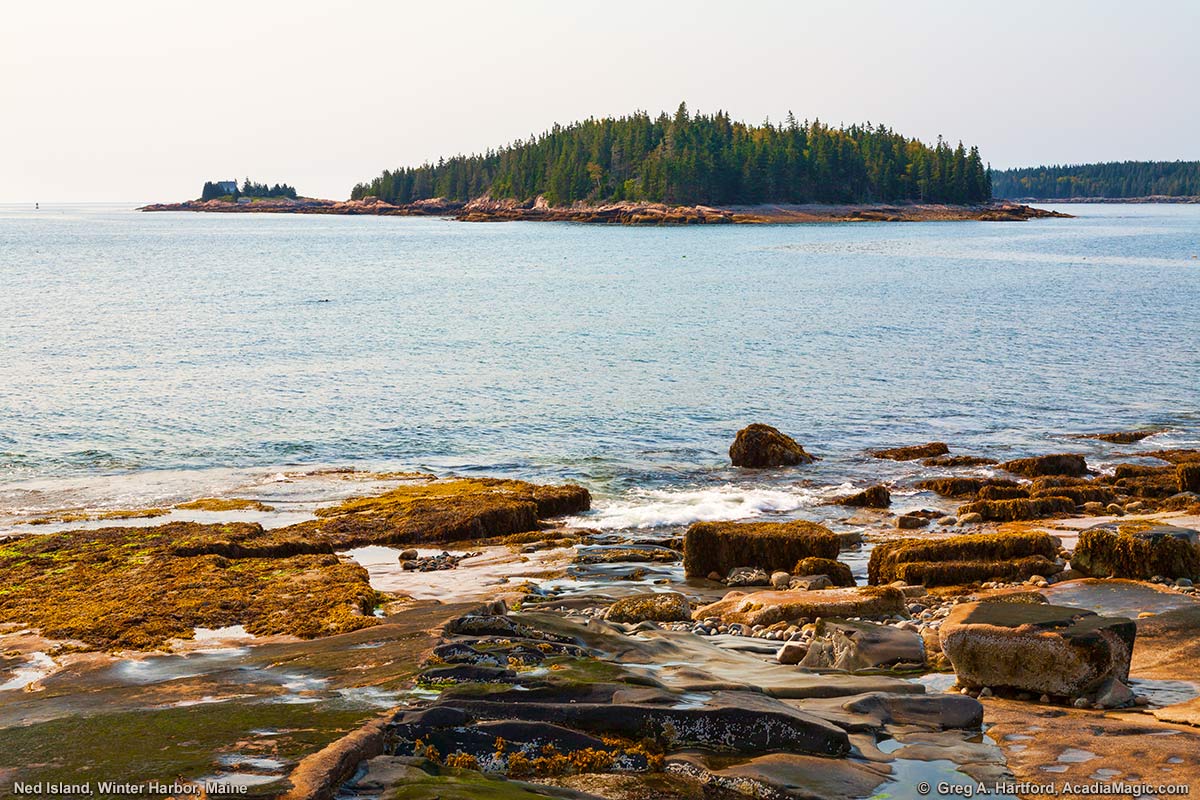 Ned Island (in the center) and Mark Island Lighthouse (on the left) viewed from Grindstone Point in Winter Harbor
