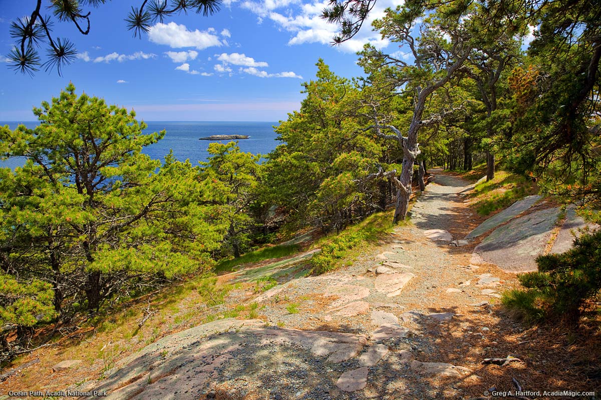 An ocean path in Acadia National Park, Maine