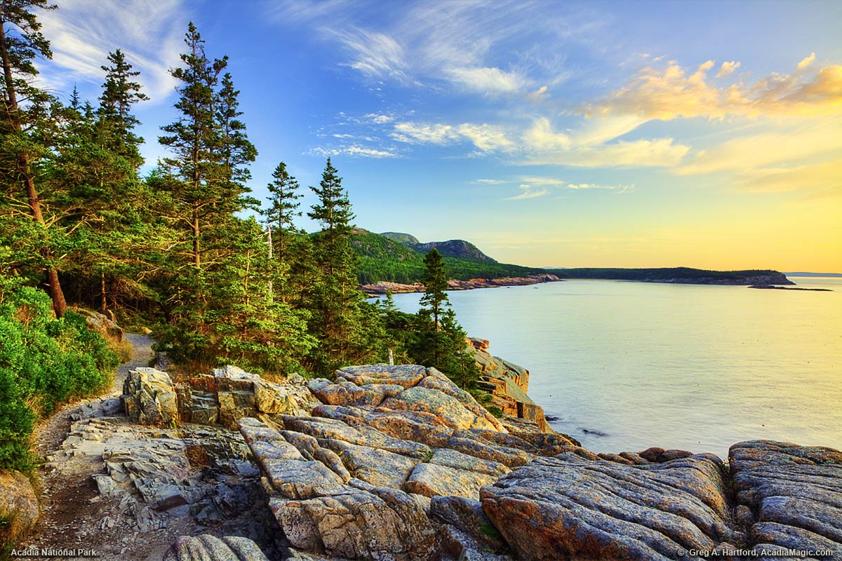 This shows the Ocean Path at Otter Cliff in Acadia National Park.