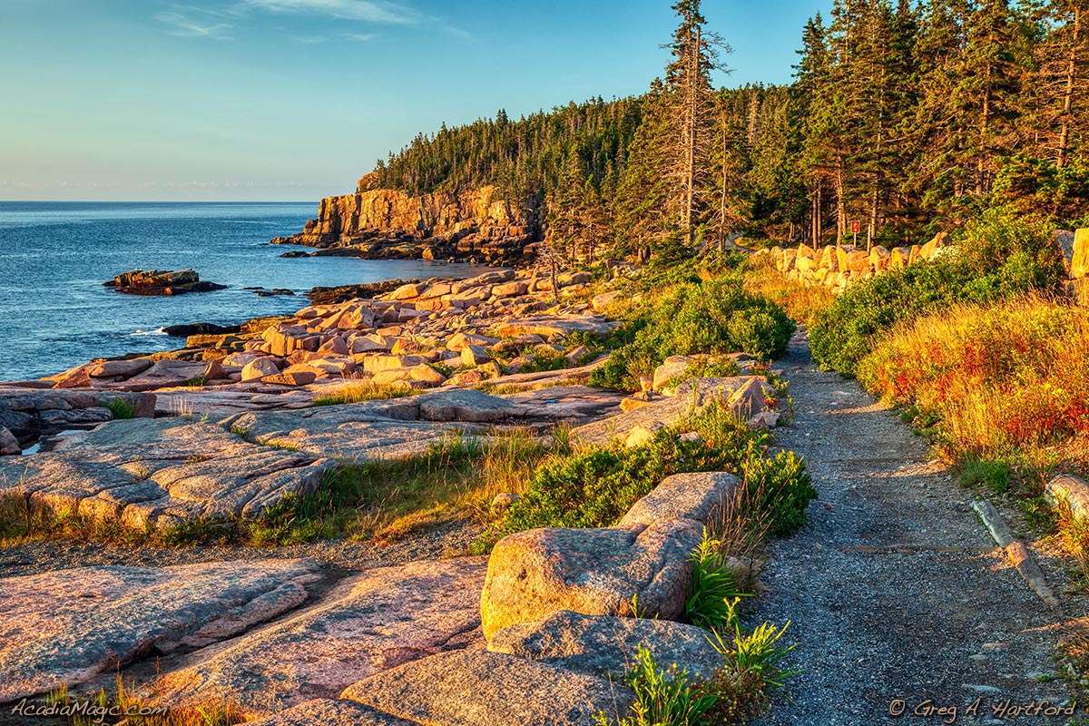 A view of Otter Cliff from the Shore Path in Acadia National Park