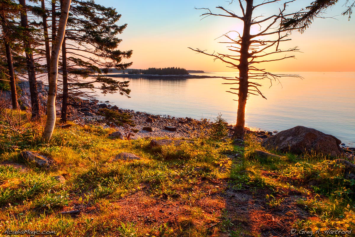 Sunrise in Acadia National Park at Schoodic Peninsula