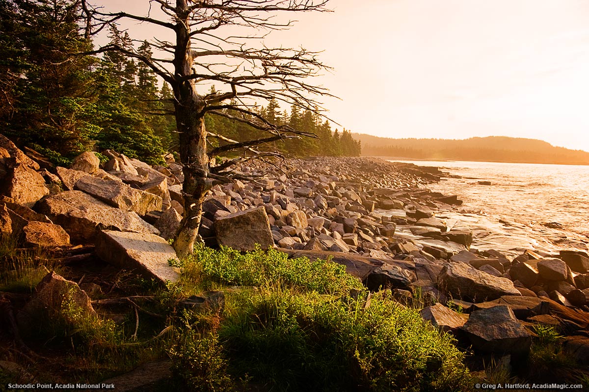 Sunrise at Schoodic point in Acadia National Park