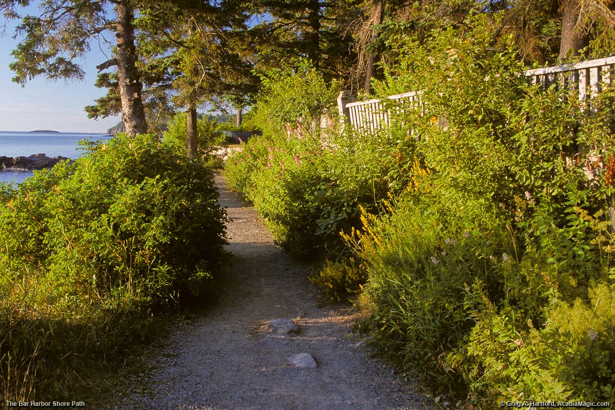 Shore Path on the eastern side of Bar Harbor