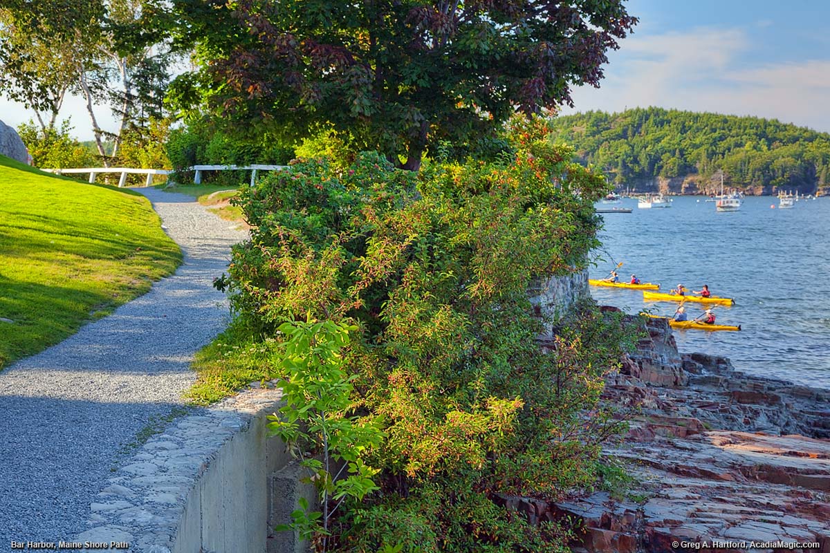 Kayakers paddle by the Shore Path in Bar Harbor