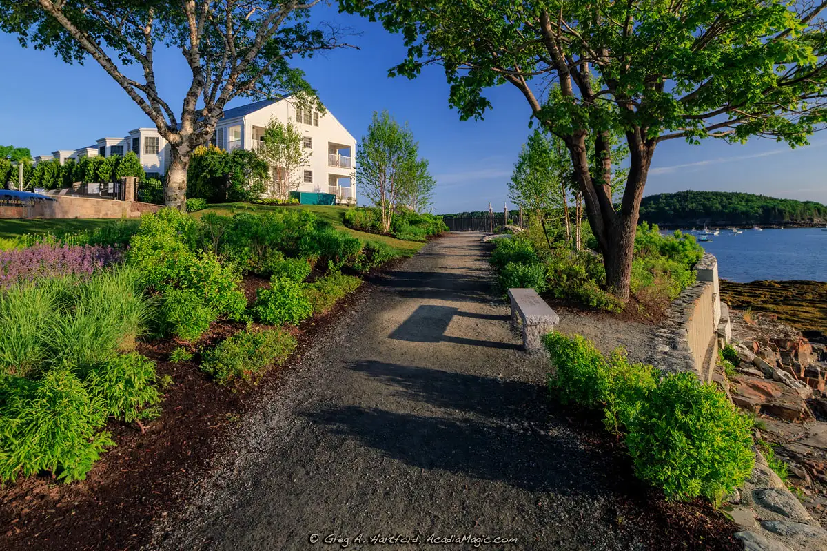 Shore Path with canopy of green plants and fence