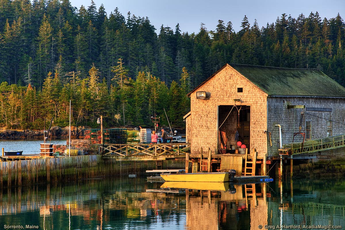 Seafood operation in Sorrento, Maine at sunrise