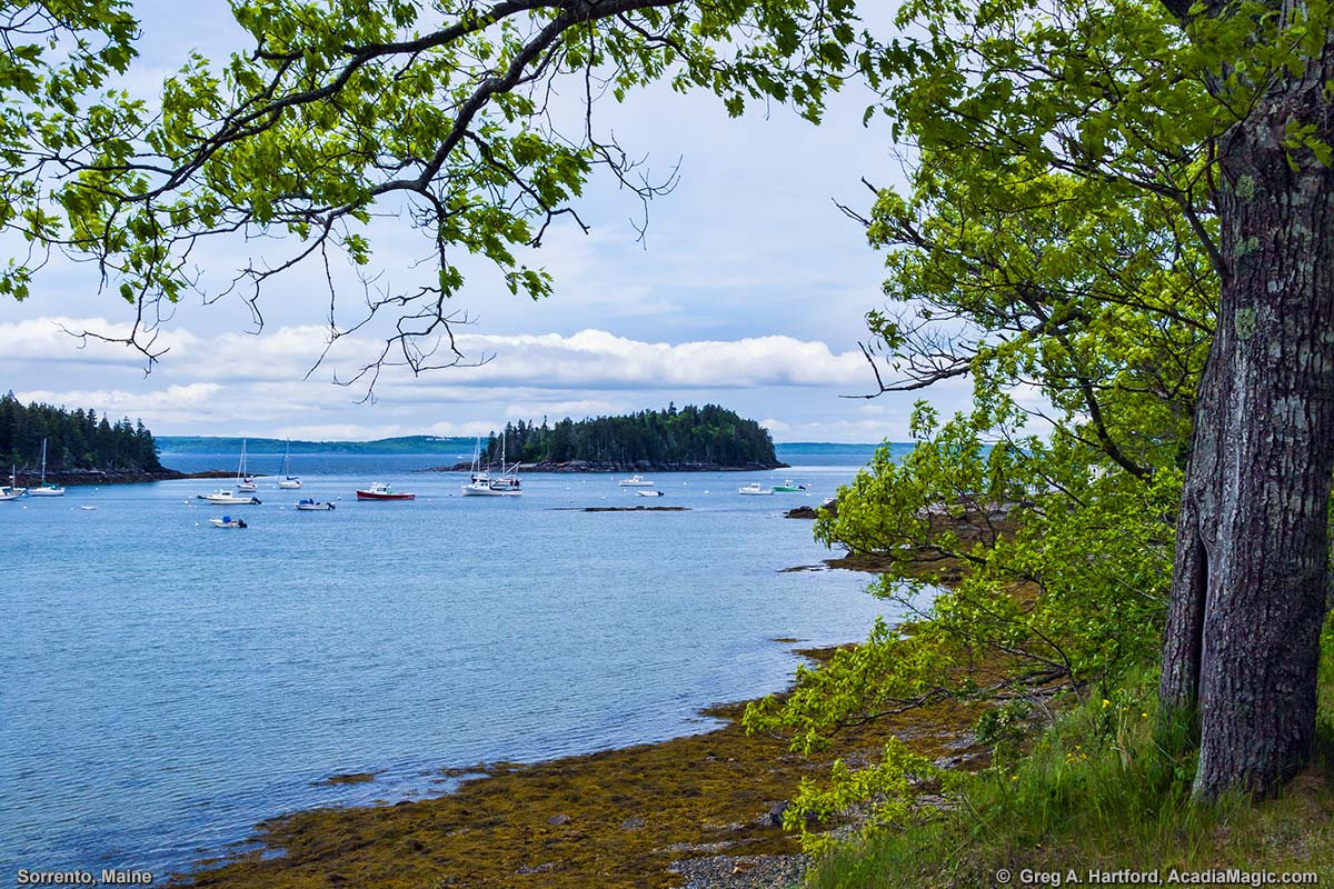 Dram Island as seen from the shore of Sorrento, Maine