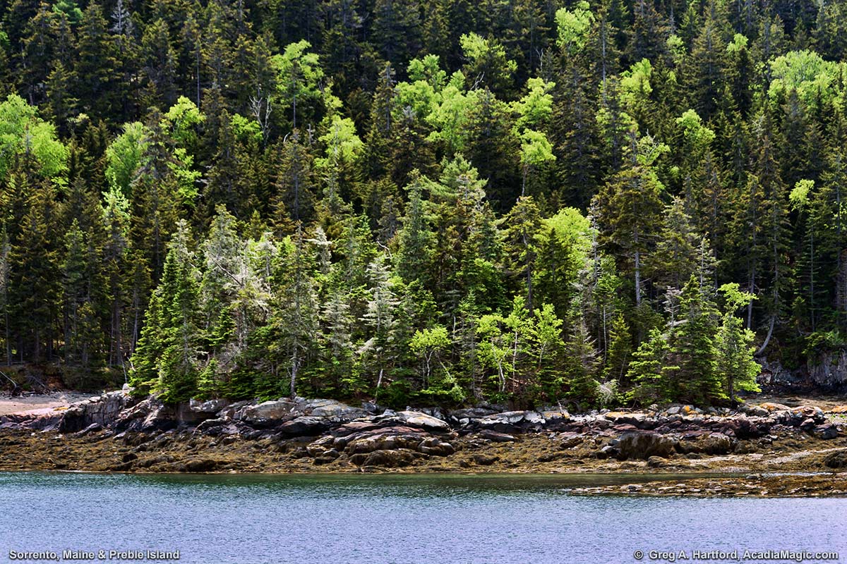 A view of Preble Island in Sorrento, Maine