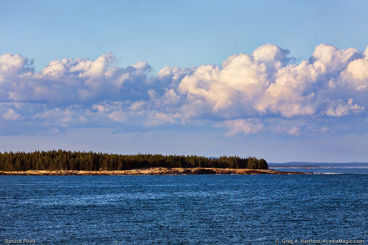 This photo shows Spruce Point as viewed from Acadia National Park on the eastern side of Schoodic Peninsula in Maine.