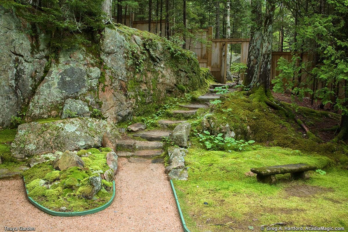Thuya Garden steps to Eliot Mountain Trail