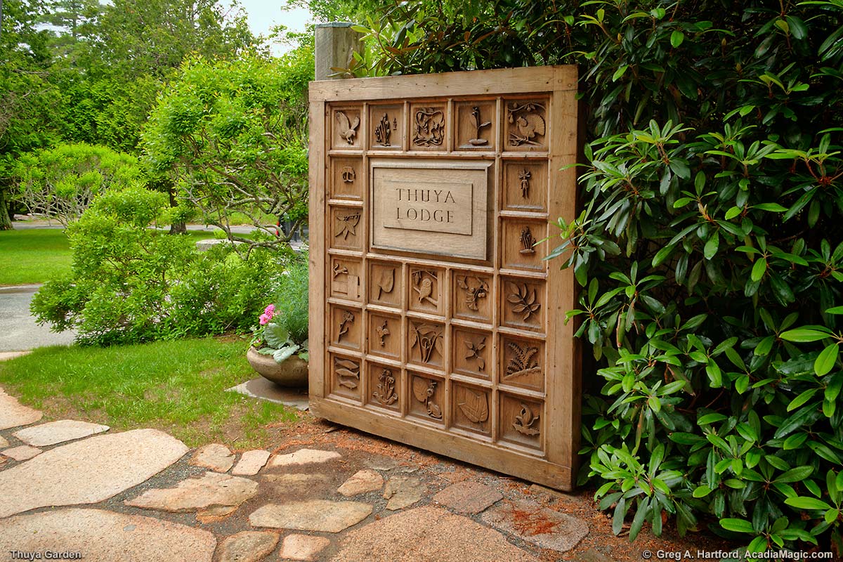Hand carved cedar entrance door for Thuya Garden and Lodge