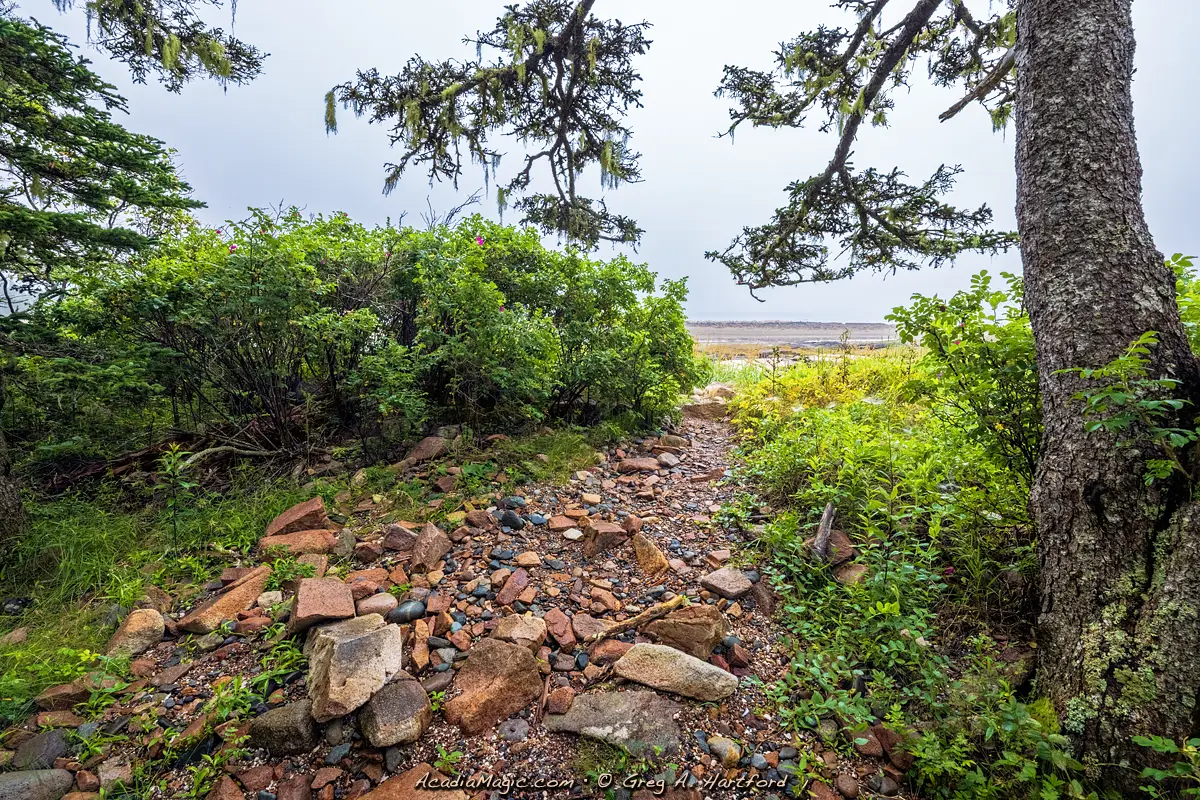 This shows a section of the Wonderland Trail that goes along the shore in Acadia National Park.