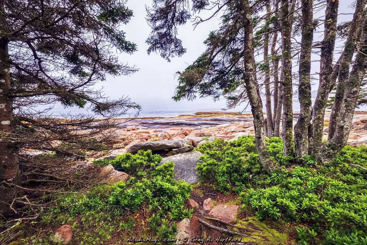 Scenes like this one on the Wonderland Trail invite us to enter as if it is a doorway to the shore of Acadia.
