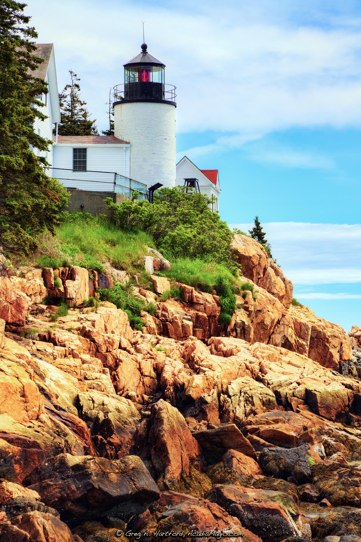 Bass Harbor Head Light in Acadia National Park