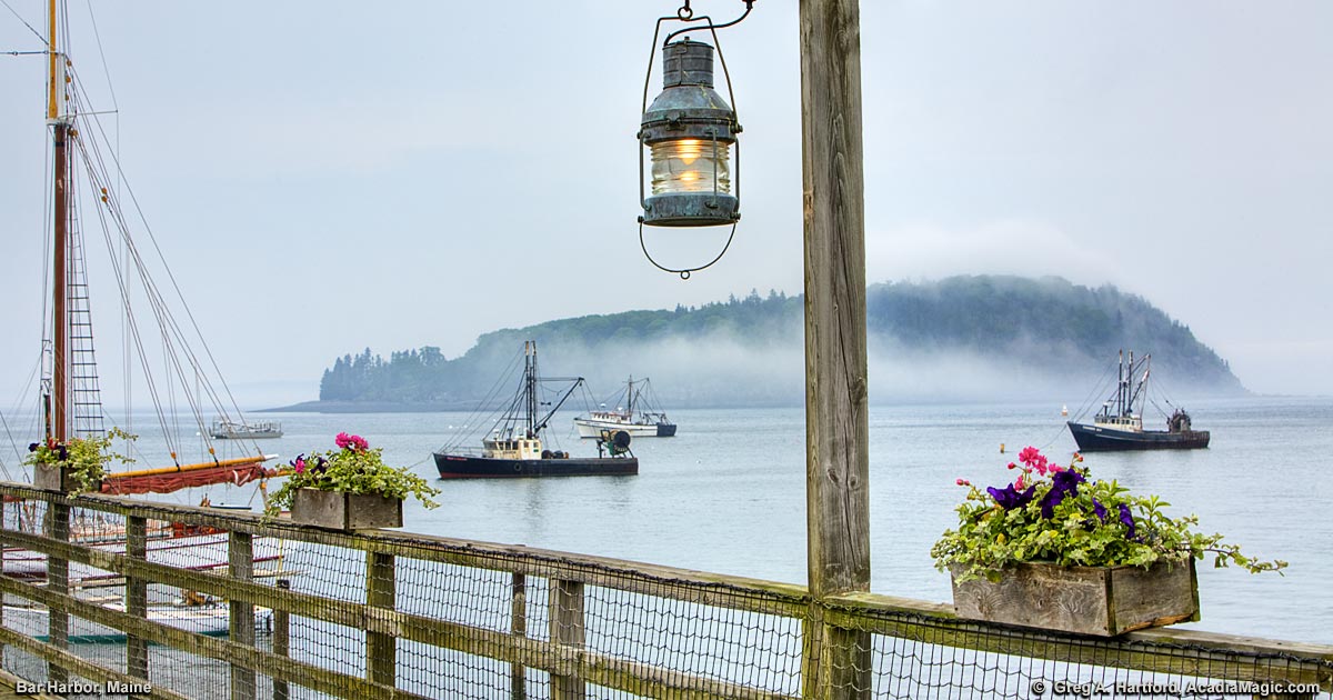 Bar Harbor Only Bed and Breakfasts Maine BnB's