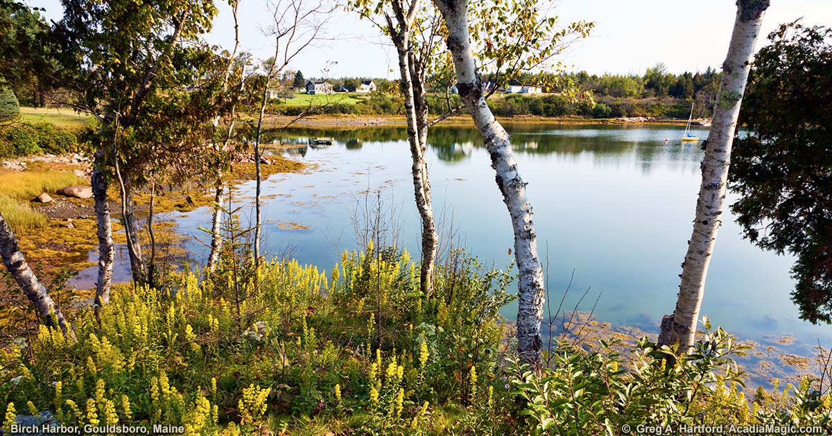 Birch Harbor, Maine Photos