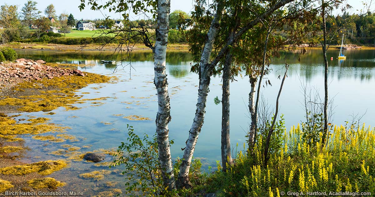 September at Birch Harbor Inlet