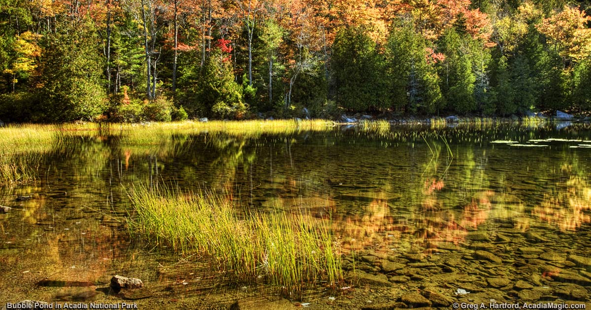 Acadia National Park Bubble Pond October Morning
