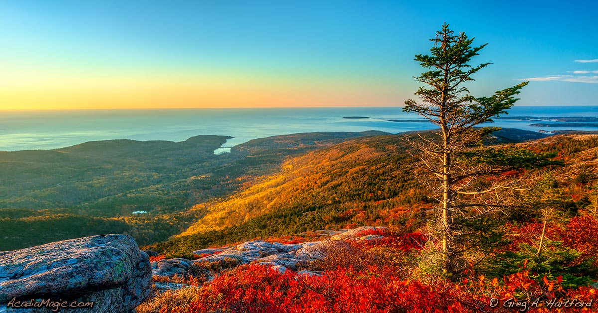 Autumn Reds on Cadillac Mountain in Acadia
