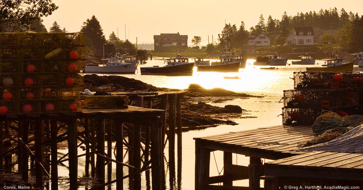 Corea Maine Photos Page One