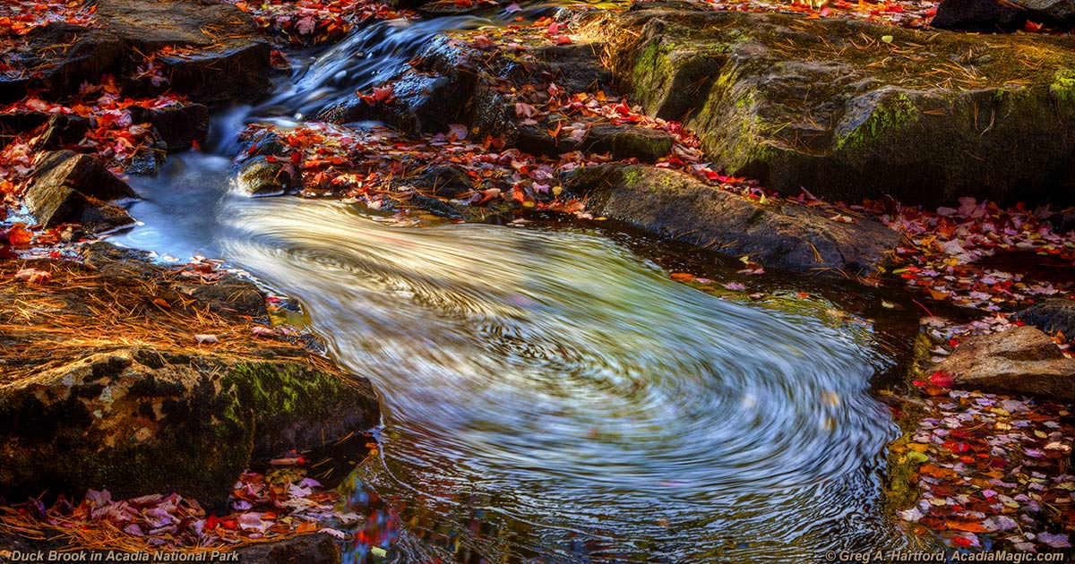 Acadia Water Swirl or Vortex at Duck Brook