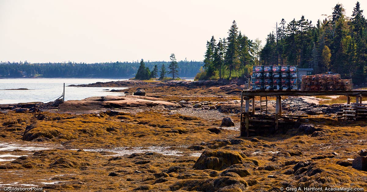 Gouldsboro Point in Gouldsboro, Maine