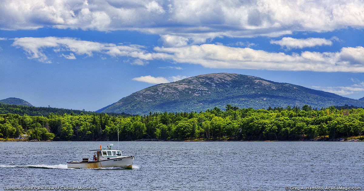 Maine's Hidden Gem: Lamoine State Park - Where Coastal Beauty Meets Outdoor Adventure