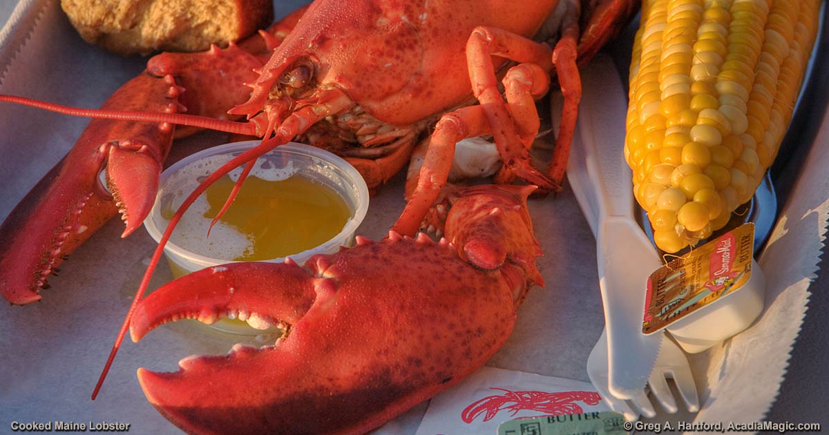 Maine Lobster Feast Cooked to Perfection
