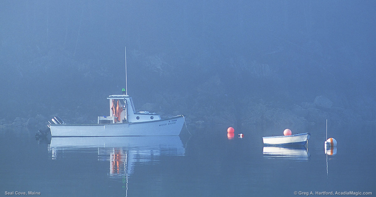 Seal Cove Tremont Maine Acadia