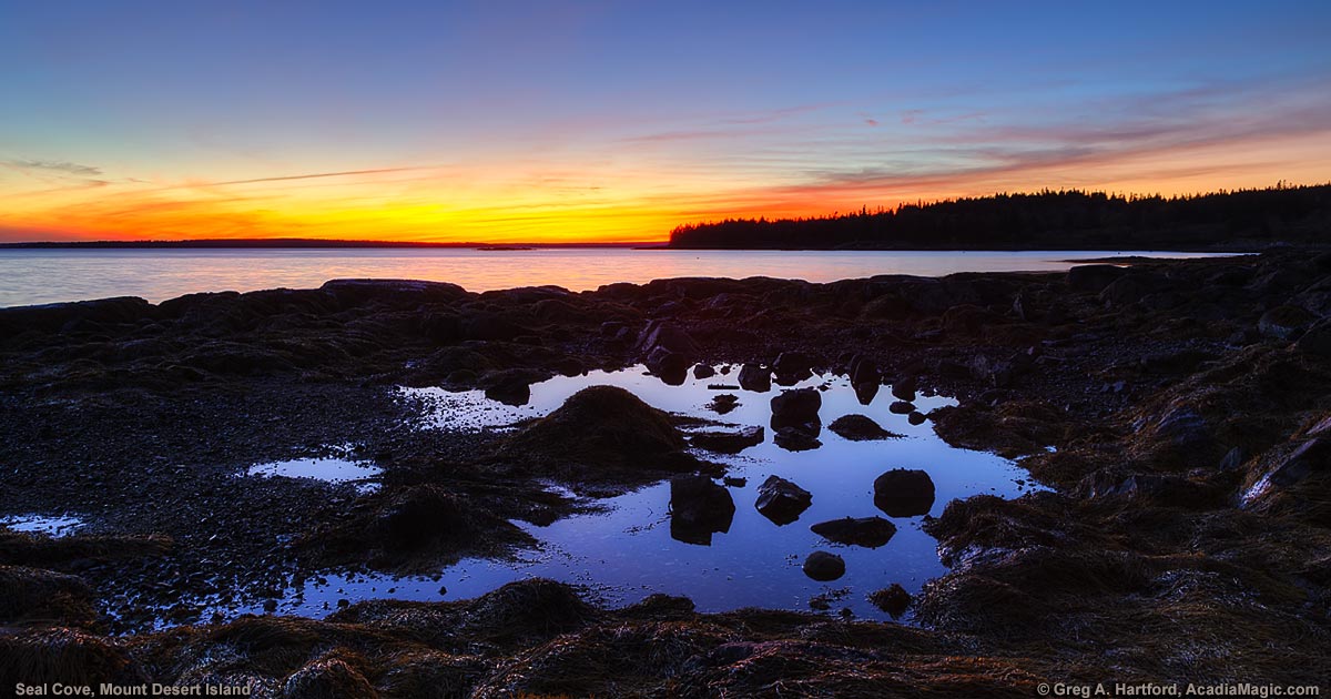 Seal Cove Photos Tremont & Acadia