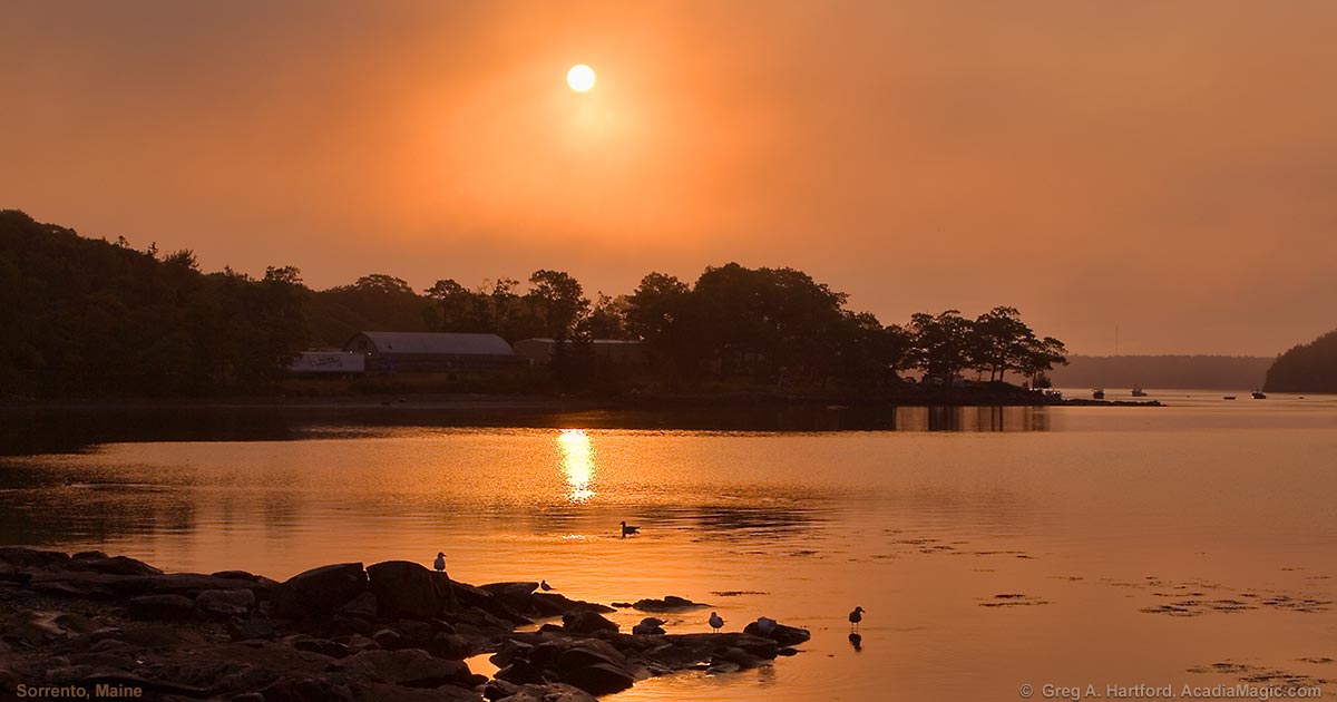 Sorrento, Maine Sunrise Over Fishing Company