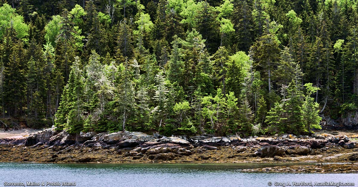 Preble Island as seen from Sorrento, Maine