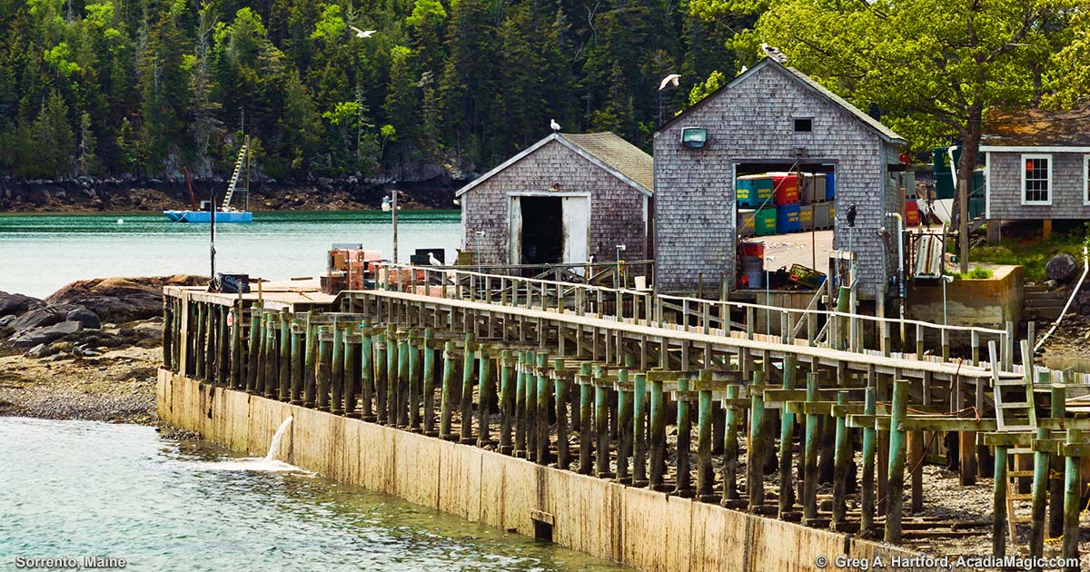 Sorrento, Maine Part of a Seafood Operation