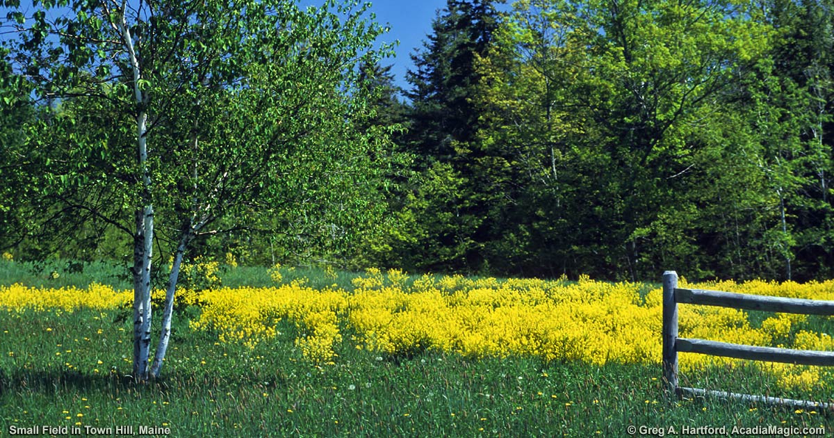 Town Hill Maine Bar Harbor Acadia