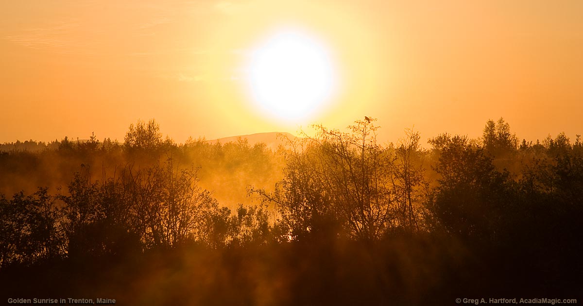 Trenton Maine Lodging Vacation Rentals Cottages