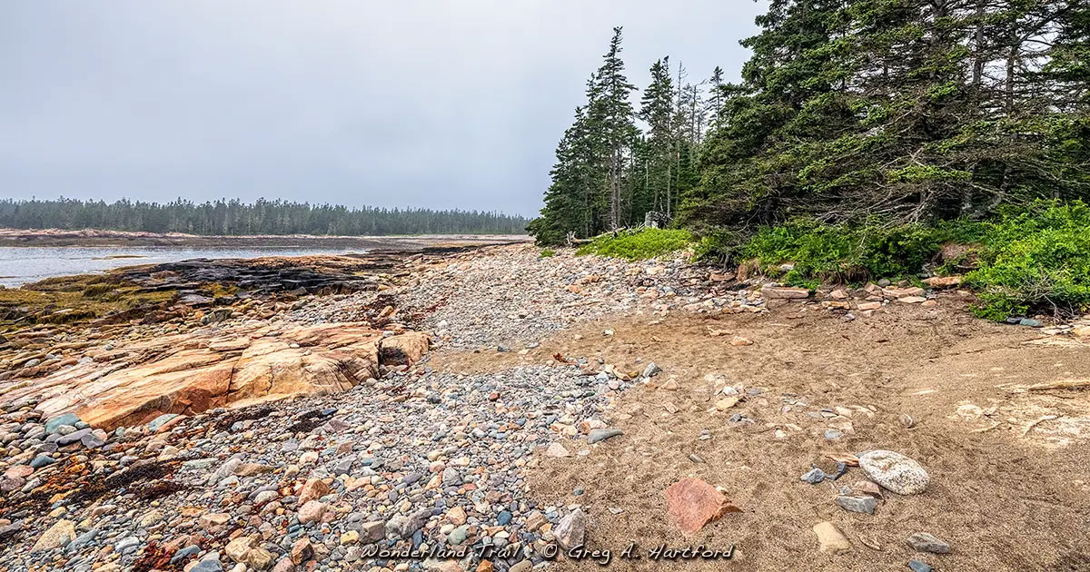 Wonderland Trail leading through forest to rocky Maine coastline