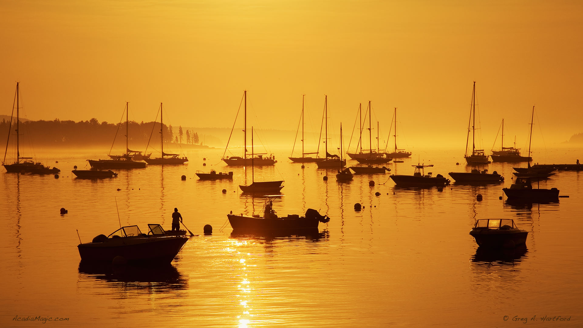 Golden Sunrise in Southwest Harbor, Maine with many yachts