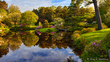 Asticou Azalea Gardens in Northeast Harbor, Maine