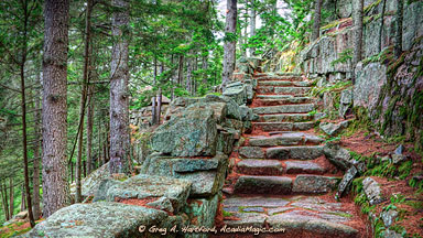 The granite steps of Asticou Terraces in Northeast Harbor, Maine
