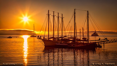Bar Harbor Sunrise with Margaret Todd