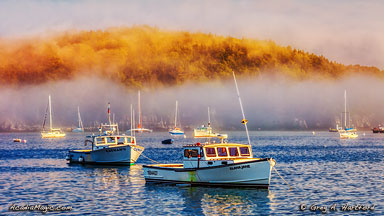 View of lobster boats in Bar Harbor at sunrise
