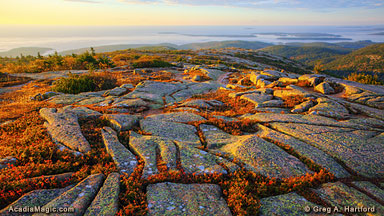 View of Cadillac Mountain granite during Acadia Sunrise