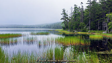 Upper Hadlock Pond in Acadia - Northeast Harbor, Maine