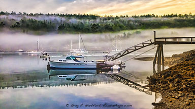 Fog in Northeast Harbor, Maine