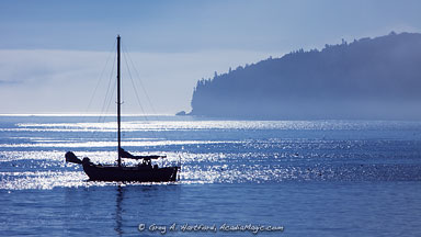 Bar Harbor, Maine Shore Path view of sailboat