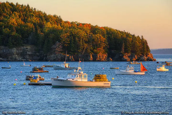 View of Lobster Boats from Bar Harbor Pier